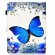 Универсальный чехол Coloured Drawing для планшета 8 дюймов (Butterfly)