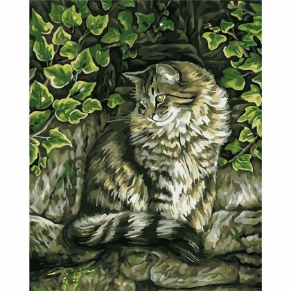 Картина по номерам 40*50 (Кошка)