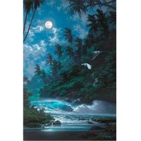 Картина по номерам 40*50 (Ночной пляж)