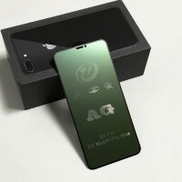 Защитное стекло 3D с зеленым оттенком для iPhone X / ХS / iPhone 11 Pro