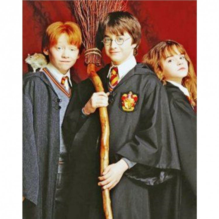 Картина по номерам 40*50 (Harry Potter)