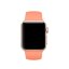 Спортивный ремешок для Apple Watch 38 и 40мм (оранжевый)